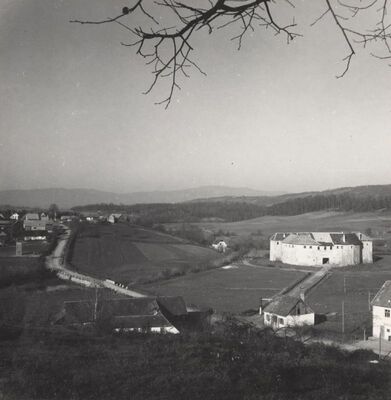 Ribnik - Stari grad s okolicom