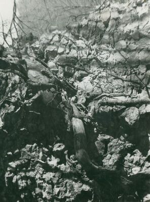 Zelingrad - Stari grad Zelingrad, ulazna kula