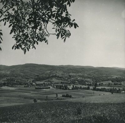 Samci (Gornja Stubica) - Dvorac Oršić, krajolik