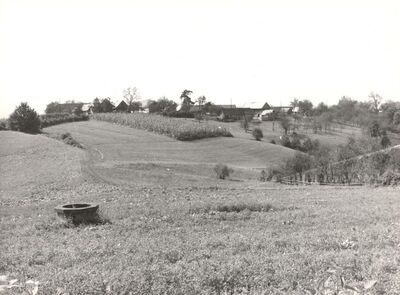 Cerje Pokupsko - Panorama