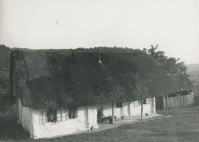Desinić - Brvnara, vanjština