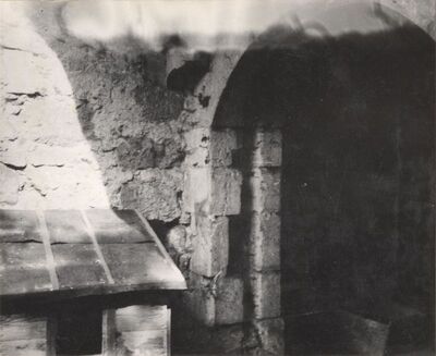 Ribnik - Stari grad, detalj