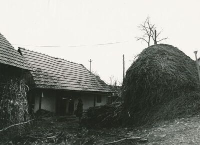 Ozalj (Lukinić Draga) - Tradicijska kuća, istočno pročelje