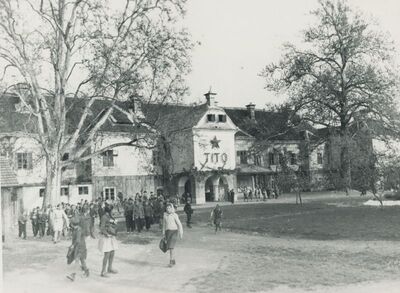 Veliki Bukovec - dvor