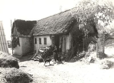 Noršić Selo - Tradicijska kuća, ulazno pročelje