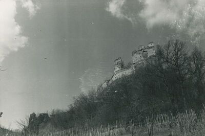 Vinica Breg (Vinica) - ruševine srednjovjekovnog grada