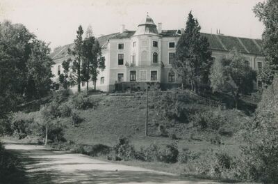 Sveti Križ Začretje - Dvorac sv. Križ, situacija