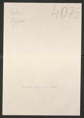 Ružić, Stjepan, 1918. Policijski karton