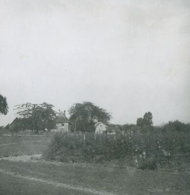 Vukovina - Kurija Alapić, situacija