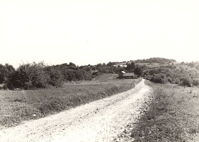 Sječevac - Panorama
