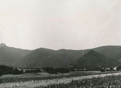 Vitunj (Ogulin) - pogled