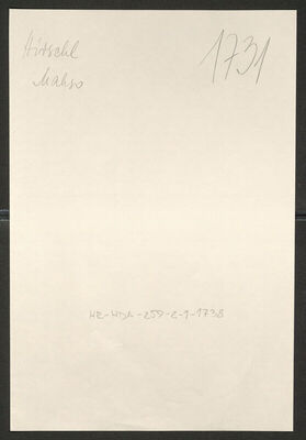 Hirschl, Makso, 13.11.1869. Policijski karton