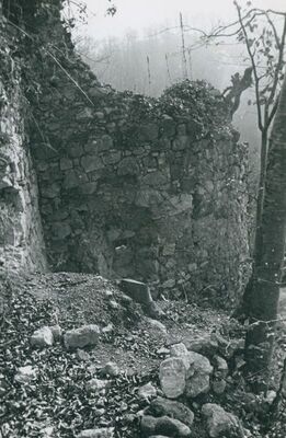 Zelingrad - Stari grad Zelingrad, južna polukula