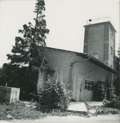 Vinica - tvornički pogon