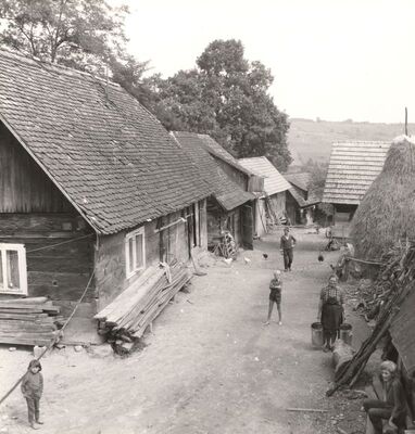 Gustelnica - Gospodarsko dvorište s ukućanima