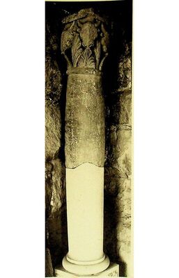 Split, Arheološki muzej