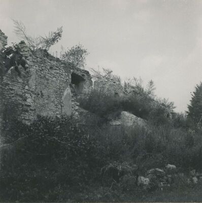 Bisag - dvor, ostatci