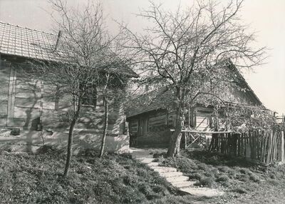 Zaluka Lipnička (Žakanje) - Tradicijske kuće, uže i dulje pročelje