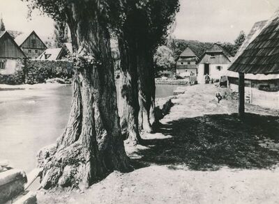 Rastoke (Slunj) - Kuće u naselju