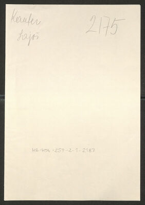 Kaufer, Lajoš, 26.8.1877. Policijski karton