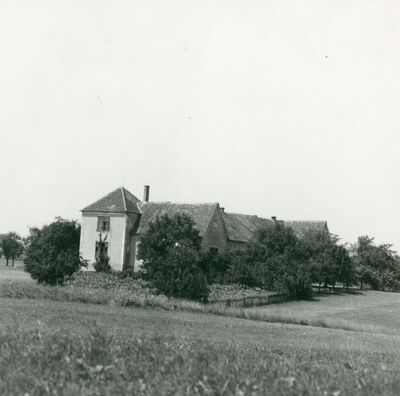 Sveta Helena - Kurija Adamović Hellenbach - Mikšić, začelje
