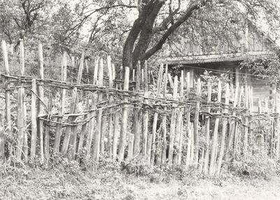 Donji Hruševec - Ograda