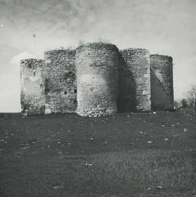 Konjščina - Stari grad (Kaštel Konjskih), vanjština