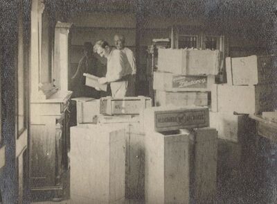 Plaški - Pakiranje knjižnice