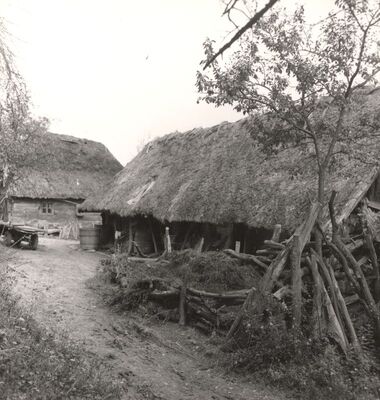 Gustelnica - Gospodarske zgrade