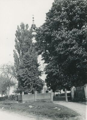 Martijanec - župna crkva sv. Martina, kesten i jablan