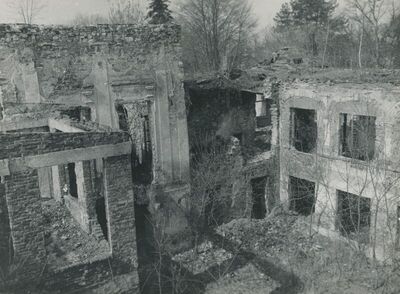 Dvorac Oroslavje Gornje (Oroslavje), ruševna unutrašnjost, detalj