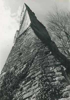 Vinica Breg (Vinica) - ruševine srednjovjekovnog grada