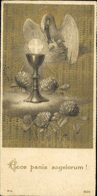 Ecce panis angelorum!