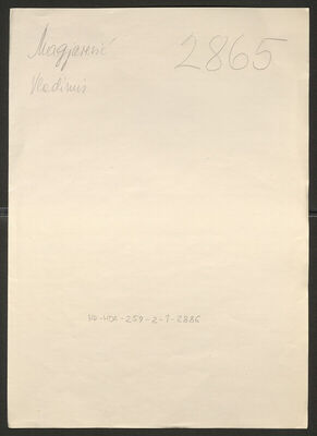 Magjarević, Vladimir, 13.7.1911. Policijski karton