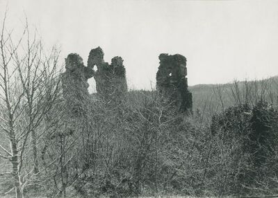 Vinica Breg (Vinica) - ruševine srednjovjekovnog grada