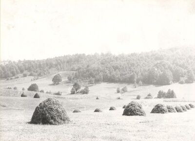 Donji Hruševec - Panorama
