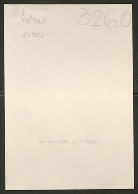 Molnar, Anka, 26.7.1879. Policijski karton