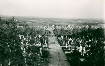 Zagreb (Mirogoj) - Glavna aleja s križem, pogled prema istočnoj strani