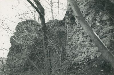 Vinica Breg (Vinica) - ruševine srednjovjekovnog grada