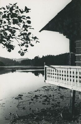 Trakošćan - ribarska kućica, jezero, okolni park