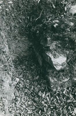 Zelingrad - Stari grad Zelingrad, sonda uz jugoistočnu polukulu