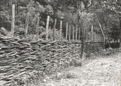 Drenje Šćitarjevsko - Ograda od pruća