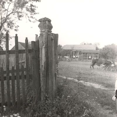 Bukevje - Kurija Zlatarić, stup