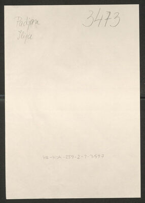 Padjan, Ilija, 1898. Policijski karton