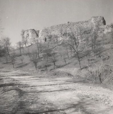 Podcetin (Cetingrad) - Stari grad Cetin, pogled s istoka