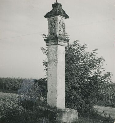 Varaždinsko Polje - Beli pil