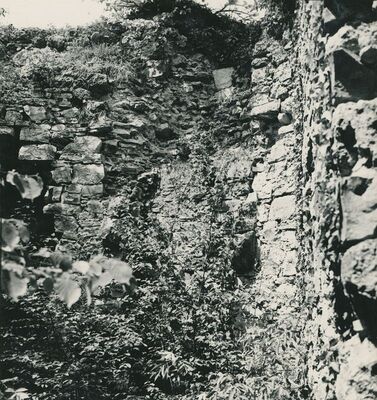 Vinica Breg (Vinica) - ruševine srednjovjekovnog grada