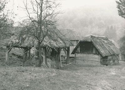 Tomašnica (Ozalj) - Okućnica