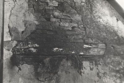 Ribnik - Stari grad, detalj zida