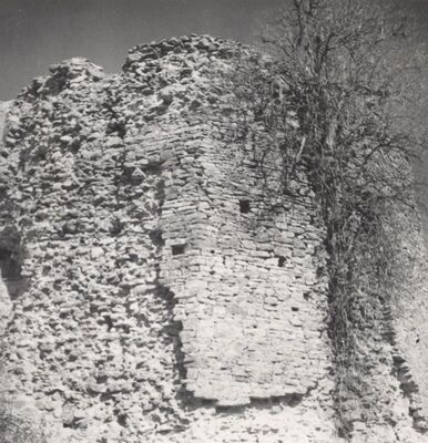 Podcetin (Cetingrad) - Stari grad Cetin, sjevoroistočni ugao